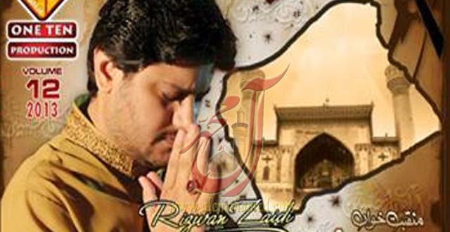 rizwan zaidi 2013 copy
