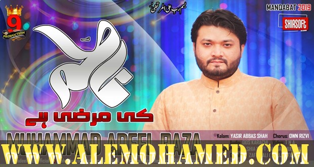 Muhammad Adeel Raza Manqabat 2019-20