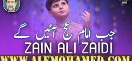 Zain Ali Zaidi Manqabat 2019-20