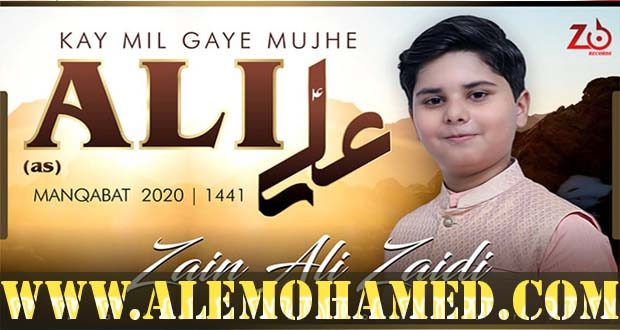 AM_Zain Ali Zaidi-1