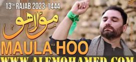 Shahid Hussain Baltistani Manqabat 2023-24